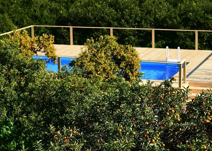 Giardino Arancio