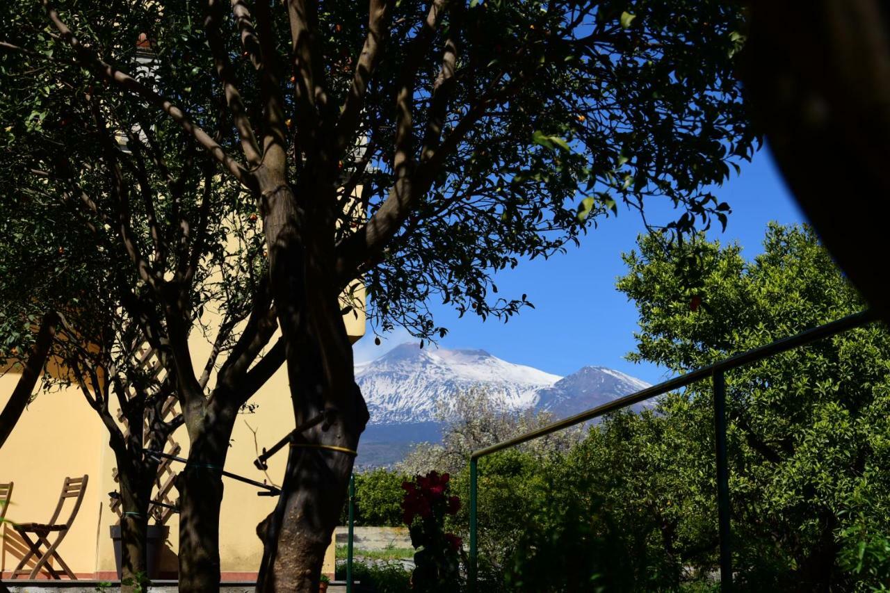 Giardino Arancio Giarre